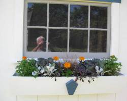 connecticut-willington-4